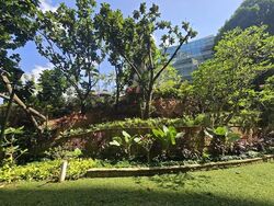 Thomson 800 (D11), Condominium #628472381